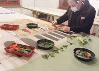 Pugnaloni 2020, cresce l’attesa. Tante iniziative virtuali al Museo del Fiore