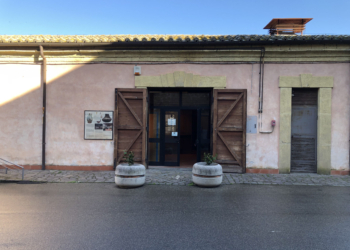 Il Museo Civico “Ferrante Rittatore Vowiller”  va incontro al pubblico. “Mai così aperti e multimediali”