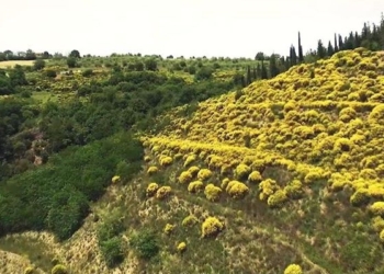 Confagricoltura Umbria, Fabio Rossi: “Dalla Riserva Mab Unesco valore aggiunto per la ripartenza dell’Umbria”