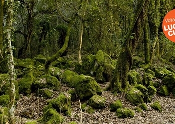 “Luoghi del Cuore”, c’è anche l’Altopiano dell’Alfina e il Parco del Pinaro di Castel Viscardo