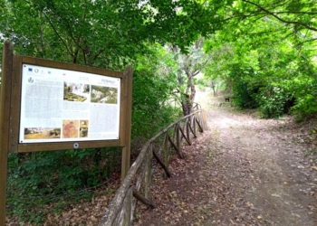 Verso la ripartenza passeggiando lungo i sentieri dell’Ecomuseo del Paesaggio degli Etruschi