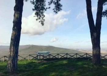 Il Parco del Pinaro di Castel Viscardo è tra i candidati a Luogo del Cuore del FAI
