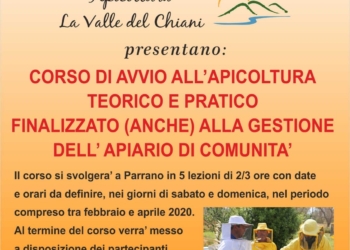 “Corso di avvio all’apicoltura”, dal 13 giugno