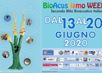 Blitz Bioacustico “BioAcustiamo Week 2020”
