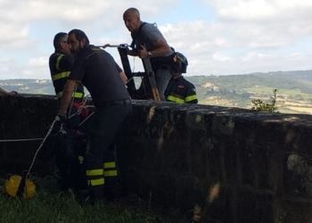 Cane precipita dal muro della Confaloniera, messo in salvo dai Vigili del Fuoco