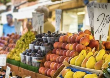 Al via il servizio di trasporto per Fabro e per il Mercato Contadino di Parrano