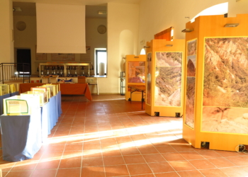 Ritornano gli appuntamenti del Petit tour ad Allerona insieme a BioAcustiamo Week