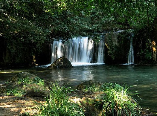 Escursione tra natura e gastronomia al Monte Rufeno, alla scoperta dei  tesori della Tuscia - Orvietosì.it