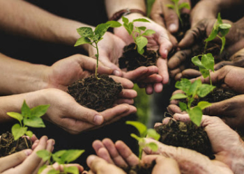 Manifesto d’intenti a favore dell’agricoltura sociale