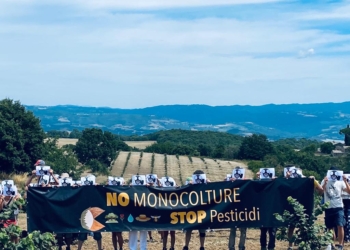 No monocolture. Stop pesticidi. Incursione pacifica sull’Altopiano dell’Alfina