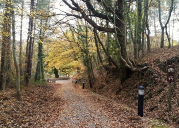 Presentato il Sentiero Natura del Fiore, 22 stazioni per conoscere la natura