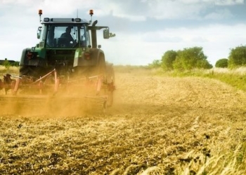 Psr 2014/20, interventi per 36,4 milioni di euro per le aziende agrarie. L’assessore Morroni illustra gli interventi