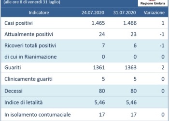 Coronavirus, andamento settimanale dal 24 al 31 luglio: effettuati 120.896 tamponi