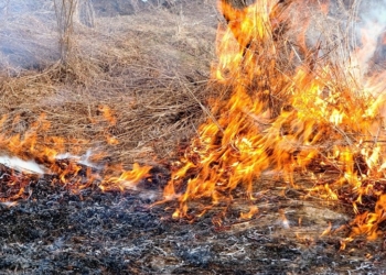 Campagna antincendio 2021, misure precauzionali di prevenzione incendi nel territorio comunale