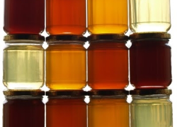 I mieli prodotti nell’Ecomuseo del Paesaggio degli Etruschi di Porano