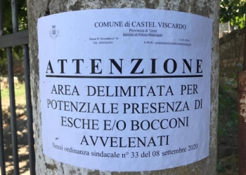 Presunto caso di avvelenamento di felini a Monterubiaglio, emessa ordinanza sindacale