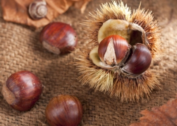 Annullata la Sagra delle Castagne a Soriano nel Cimino