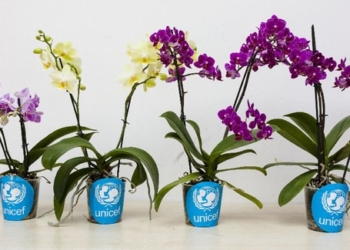 Successo a Bolsena per la vendita delle orchidee dell’Unicef