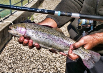 Regione Umbria posticipa data inizio pesca alla trota