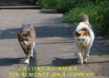 Coppia a passeggio a La Confaloniera