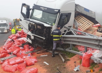 Incidente in Autostrada, autoarticolato perde il carico di sementi