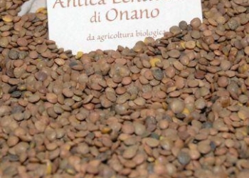 Richiesta di riconoscimento della IGP per la lenticchia di Onano