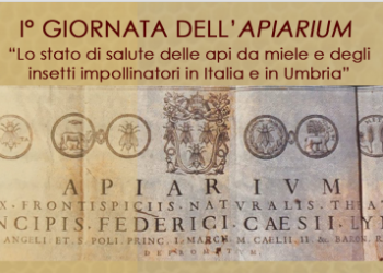 “Lo stato di salute delle api da miele e degli insetti impollinatori in Italia e in Umbria”