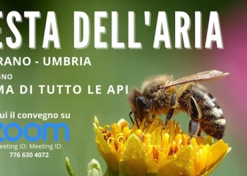 “Prima di tutto le api”, convegno su Zoom per la “Festa dell’aria”