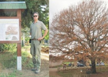 Riserva Naturale Monte Rufeno, il Comune aderisce al progetto regionale “Ossigeno”