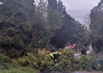 Il maltempo flagella l’Umbria, decine gli interventi del 115 per rami e alberi abbattuti. Chiusa la funicolare