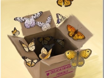 Novità in libreria: “Delicatamente Fragile” di Alessandro Focarelli e Rosa Milena Sciascia