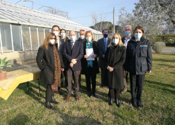 Giardino sostenibile fuori dal Palazzo di Giustizia di Viterbo. Progetto di riqualificazione Unitus