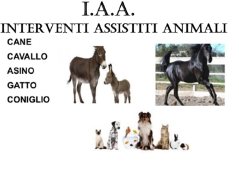 “Interventi Assistiti con gli Animali”, iniziato il corso online al Csco