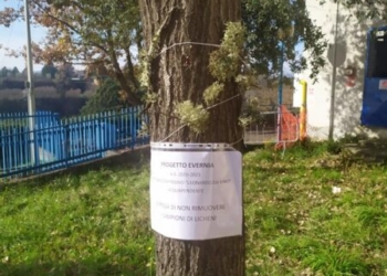 Progetto “Evernia” tra Museo del Fiore e Istituto da Vinci, studio dedicato alla qualità dell’aria