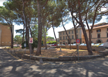 Intervento di potatura di due platani d’alto fusto in Piazza XXIX Marzo e Piazza Corsica