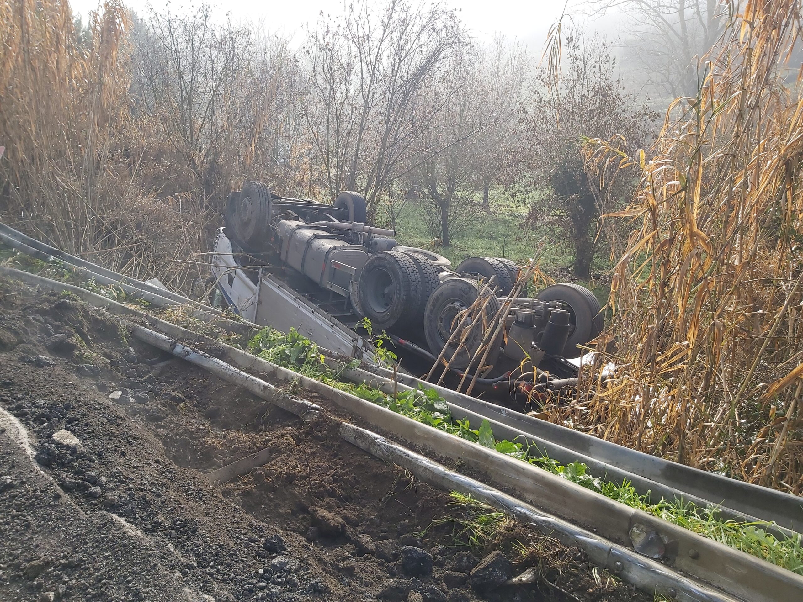 Camion Carico Di Legna Si Ribalta Nella Scarpata, Traffico A Rilento ...