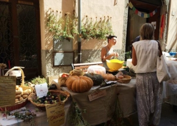 La giunta di Acquapendente ratifica l’adesione per Comitato Biodistretto Lago di Bolsena