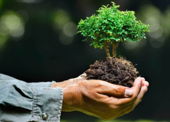 Due nuovi bandi del Gal Alto Lazio, con scadenza il 5 febbraio 2021