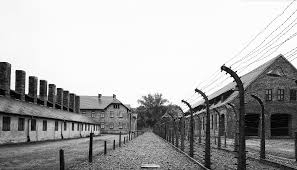 Marinelli: “La memoria come elemento necessario per eliminare le intolleranze quotidiane”