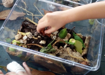 A Viterbo prendono il via “Le merende della scienza”, laboratori ludico-creativi