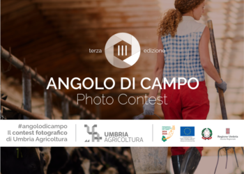 “AngoloDiCampo 2021”, il mondo dell’agricoltura umbra raccontato in un social contest