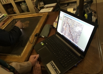 Risultati primo esame diagnostico effettuato da esperti Consorzio Pragma: è originale la barba dipinta sul volto di Dante