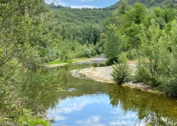 Maravalle: “Viviamo un momento storico straordinario, la politica è chiamata ad un grande salto di qualità, anche il Circolo PD di Ficulle”