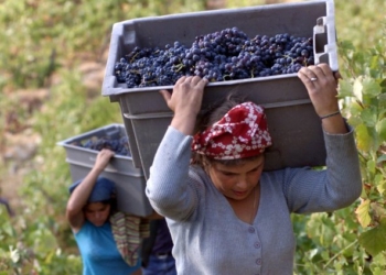 Cobas Orvieto: “L’8 marzo scioperiamo e uniamoci nelle piazze tematiche per l’intera giornata”
