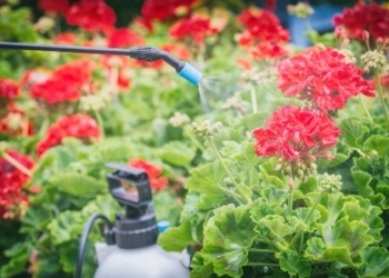 Regolamento per uso di prodotti fitosanitari, mozione approvata in consiglio