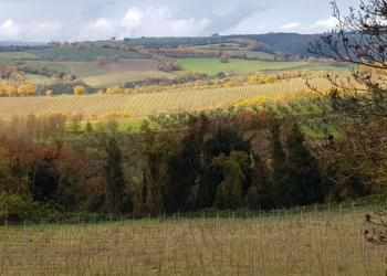 Progetto “San Faustino Fv”, la Condotta Slow Food Orvieto e Slow Food Umbria sostengono i valori e le motivazioni del Comitato Tutela Monte Peglia