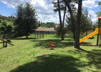 Parco Pineta di Acquapendente prossimo alla chiusura per taglio di 30 alberi