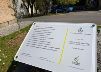 Verso l’Itinerario Oleoturistico, dieci comuni dell’Umbria hanno piantato “l’Ulivo della rinascita”