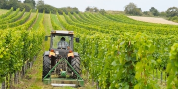 Thomas De Luca (M5S): “I Comuni inseriscano il proprio patrimonio agro-silvo-pastorale nell’elenco dei terreni del Banco della Terra”