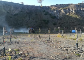 Alla Basalti Orvieto arrivano le api, saranno le “bio sentinelle” aziendali nel frutteto di varietà antiche